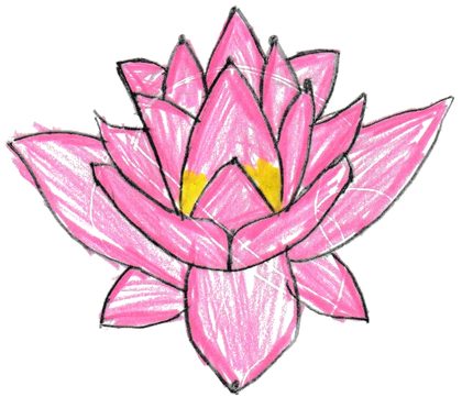 Lotus Bloom — pink lotus flower drawing